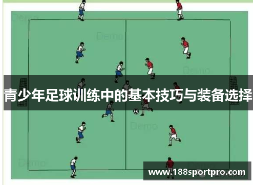 青少年足球训练中的基本技巧与装备选择
